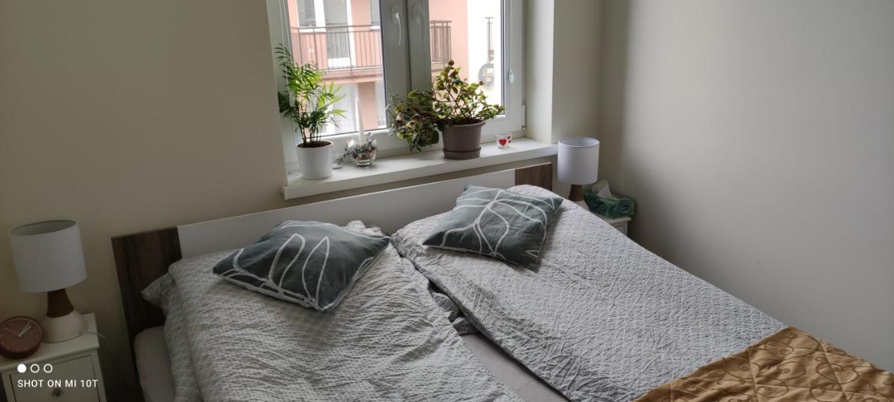 Apartament W Spokojnej Lokalizacji Cieplewo Экстерьер фото